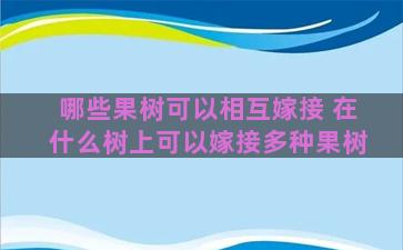 哪些果树可以相互嫁接 在什么树上可以嫁接多种果树